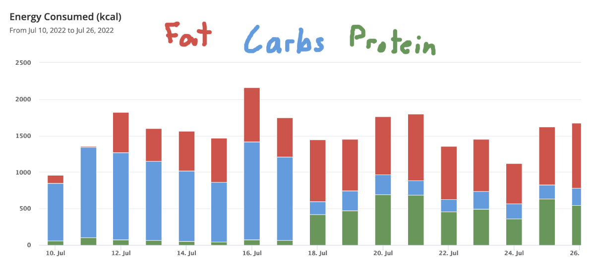 You can see the make up of calories in this chart from the potato diet, which was very high carb, and the switch to keto afterward, which is much higher fat and protein with little carbohydrate.